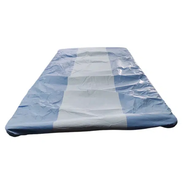 Multi-layered disposable bed cover with pad